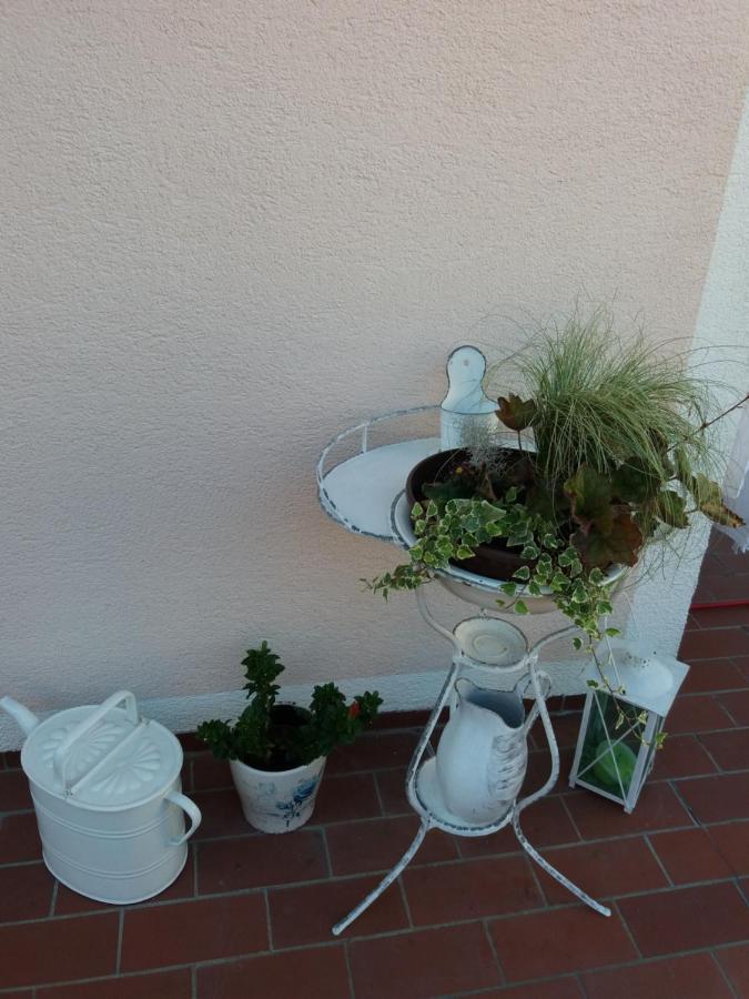 Wohnung Mit Charme In Pinsdorf Exteriér fotografie