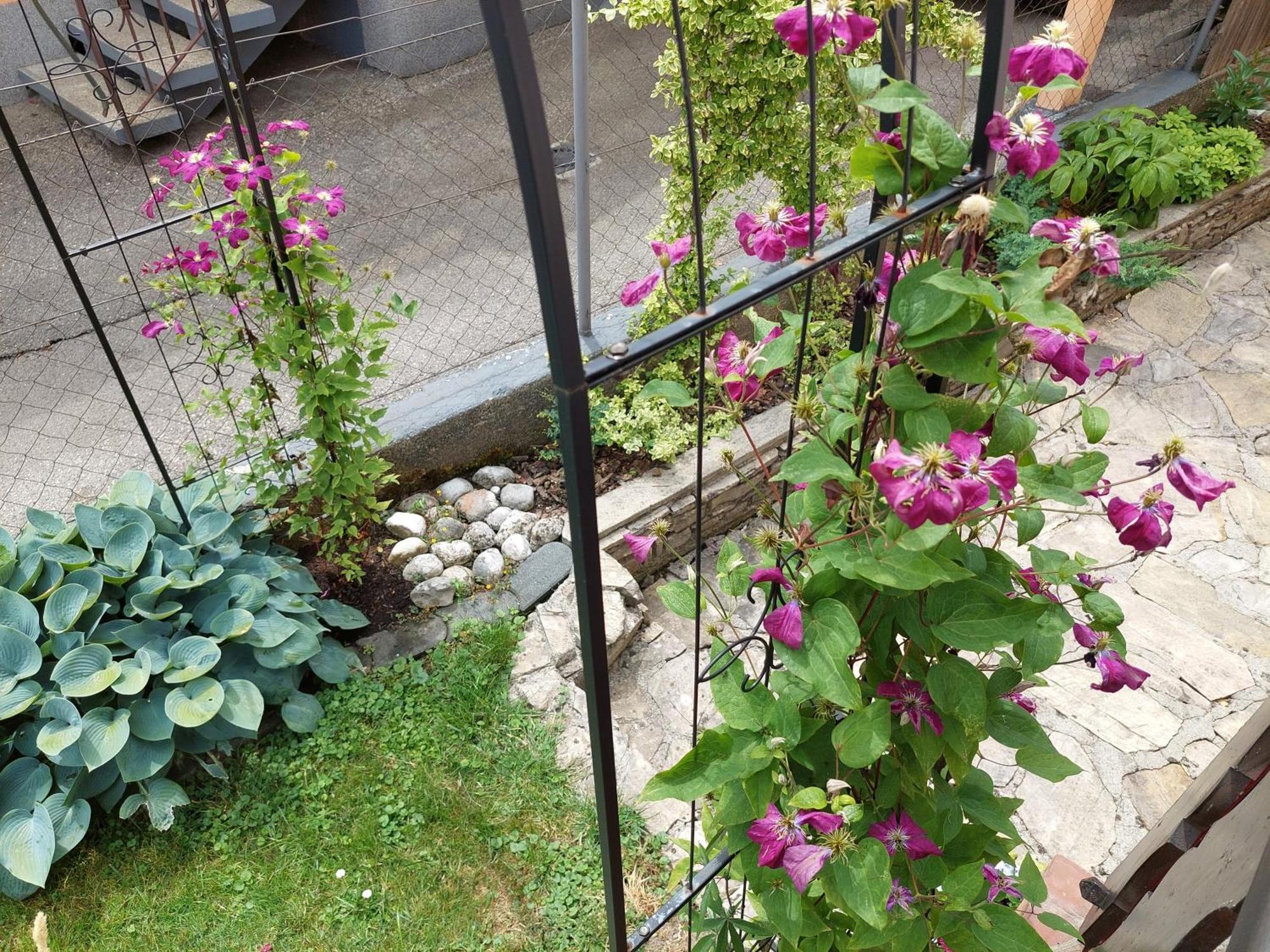 Wohnung Mit Charme In Pinsdorf Exteriér fotografie