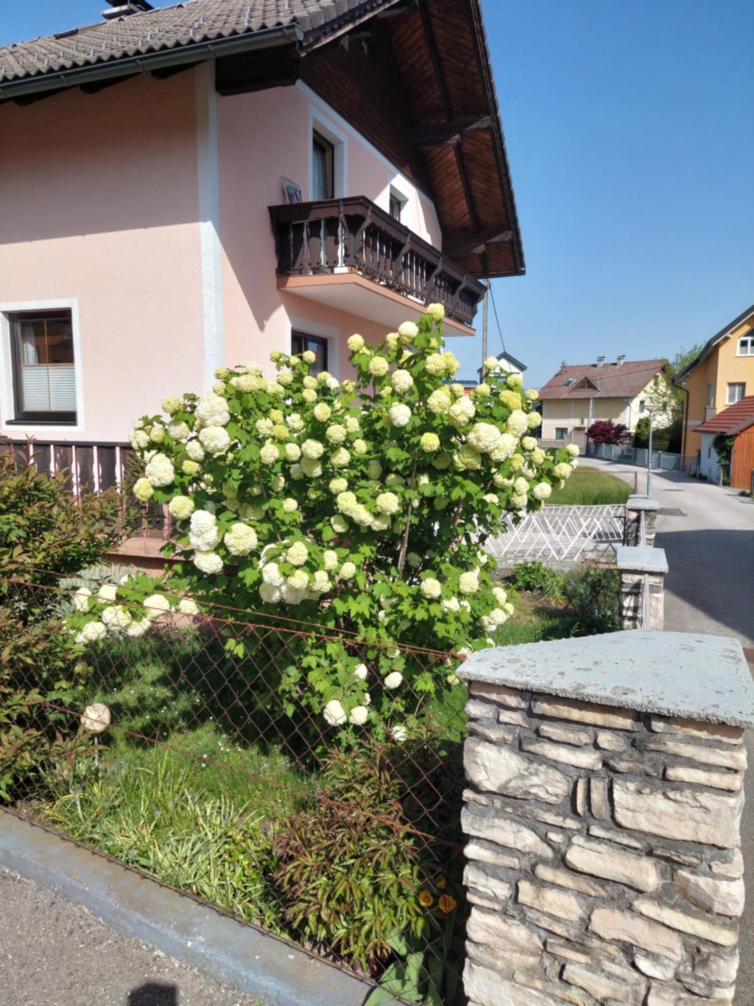 Wohnung Mit Charme In Pinsdorf Exteriér fotografie